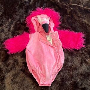 Pottery barn kids 0-6 mos Flamingo costume